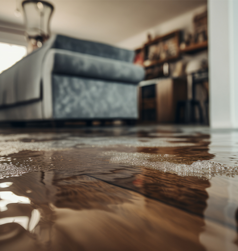 water damage in east norhtport